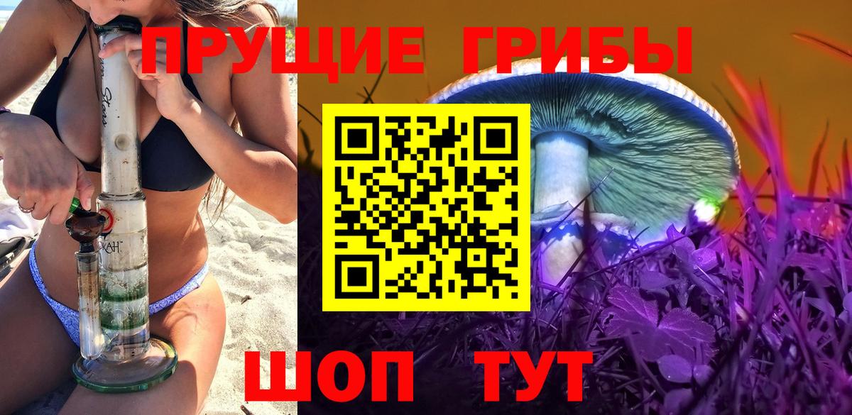 Псилоцибиновые грибы GOLDEN TEACHER  Вход с VPN  Псилоцибиновые грибы Psilocybe  Рославль 